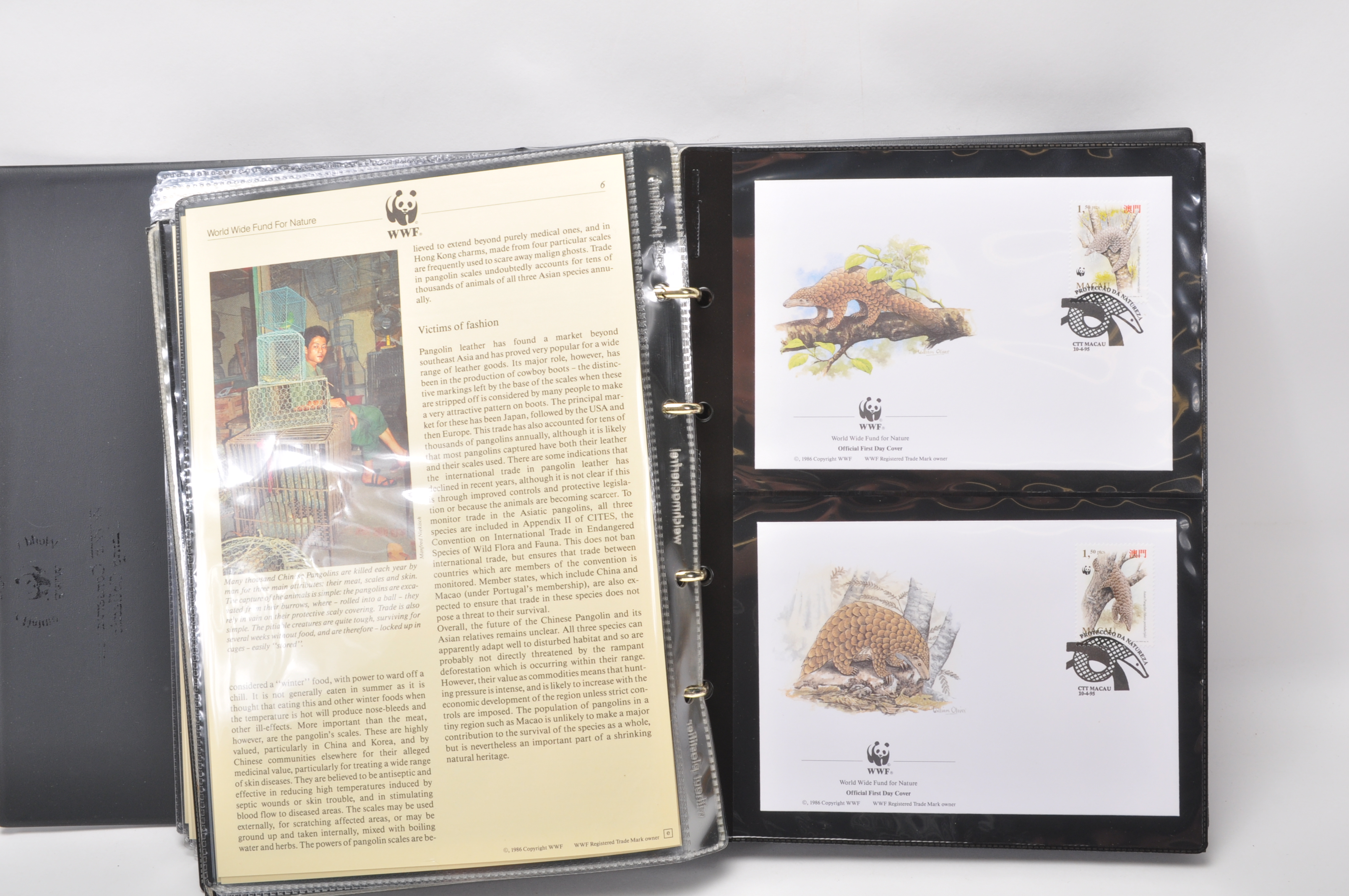 A group of five WWF stamp collectors albums filled with WWF special issue animals stamps, albums - Image 22 of 23