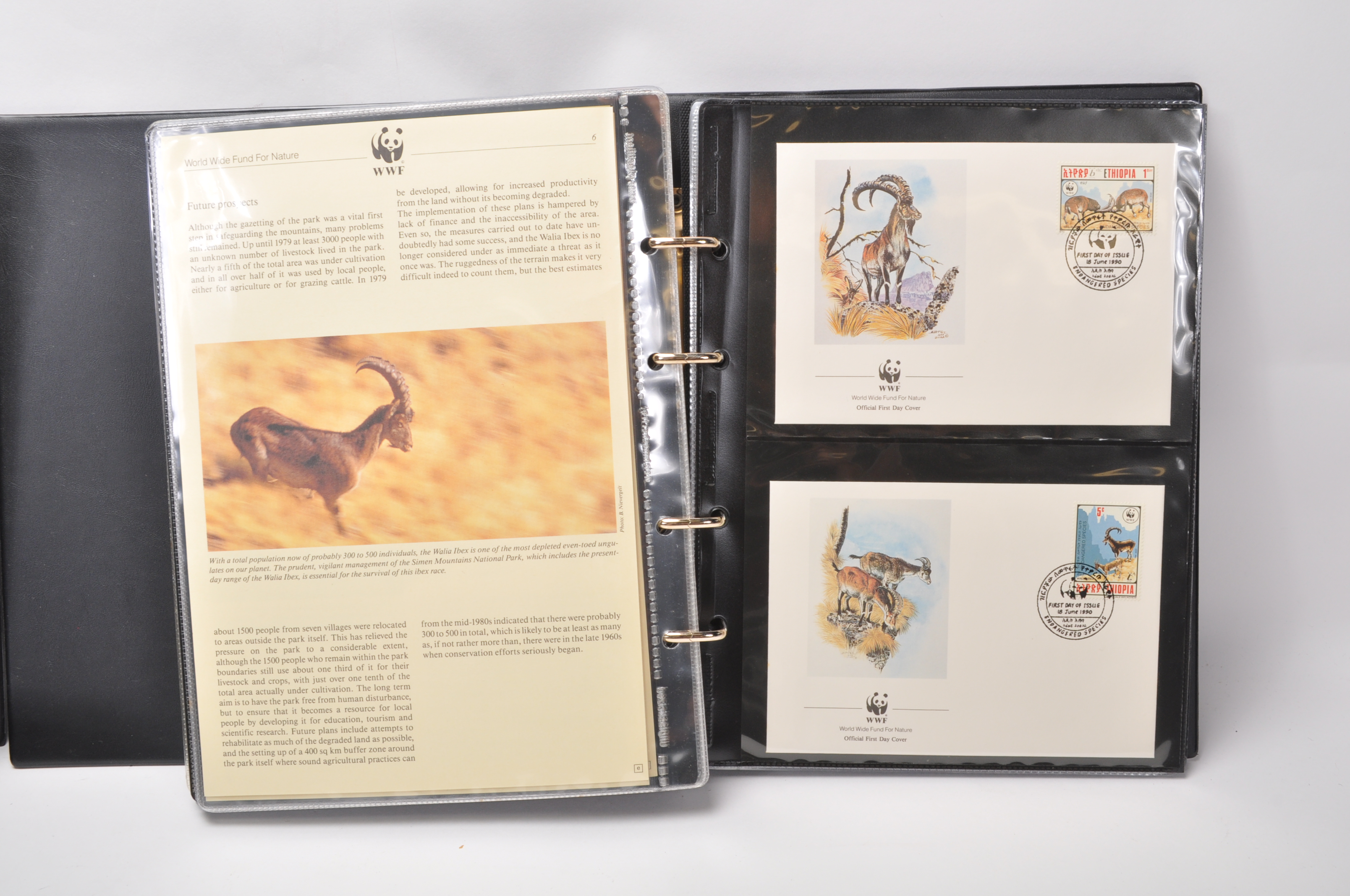 A group of five WWF stamp collectors albums filled with WWF special issue animals stamps, albums - Image 6 of 23