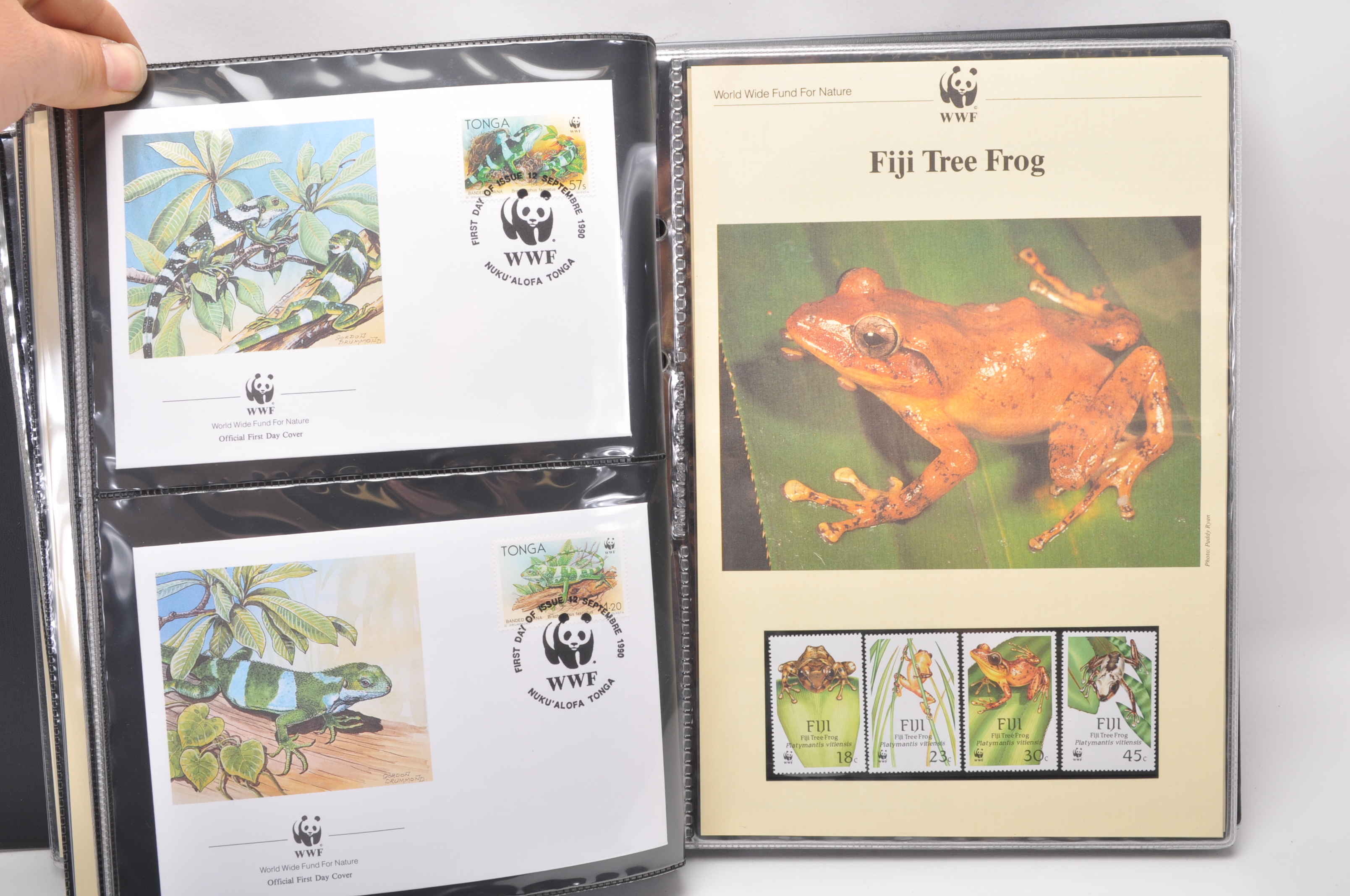 A group of five WWF stamp collectors albums filled with WWF special issue animals stamps, albums - Image 23 of 23