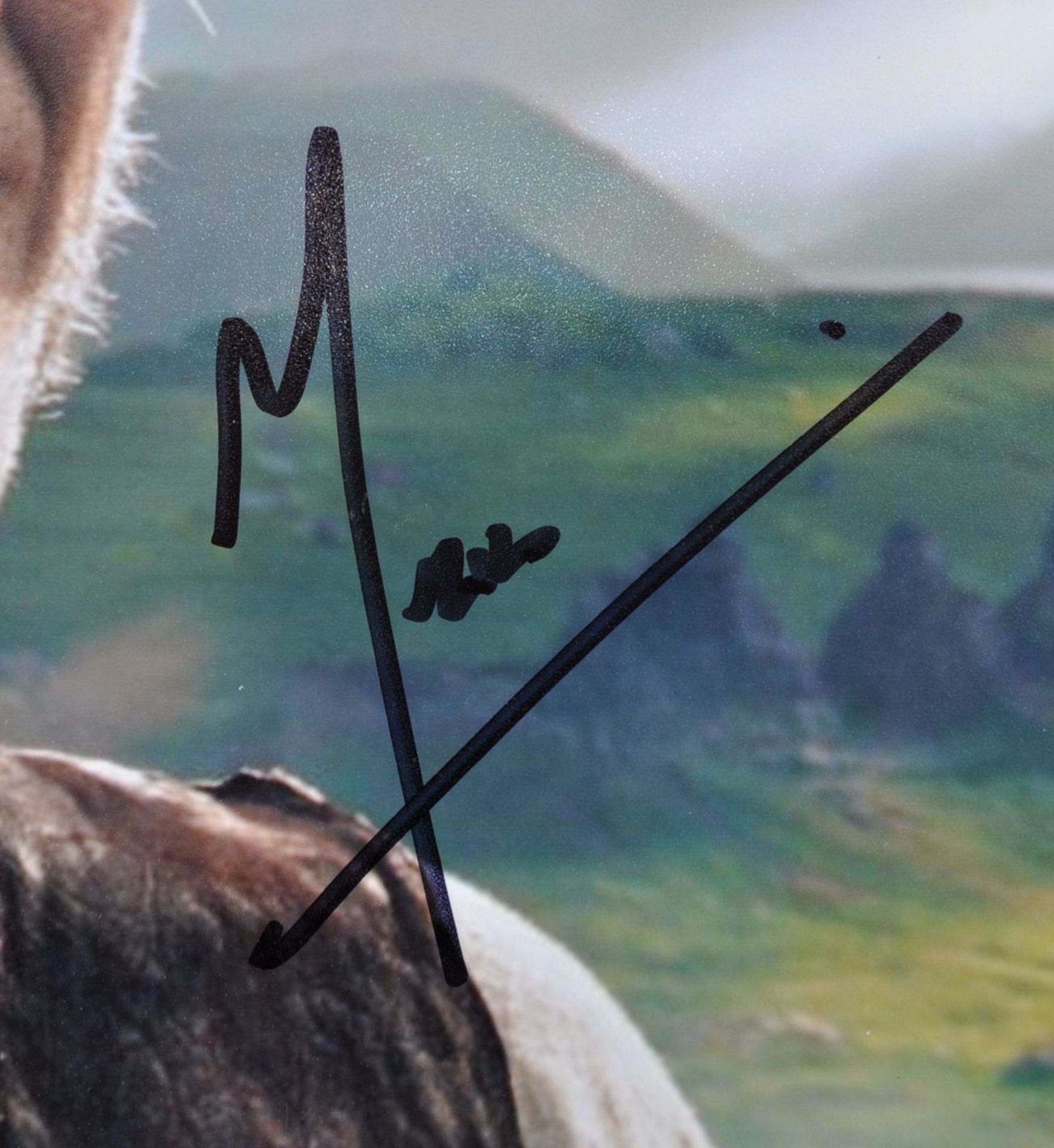 MARK RYLANCE - THE BFG - AUTOGRAPHED 8X10" PHOTOGRAPH - Bild 2 aus 2