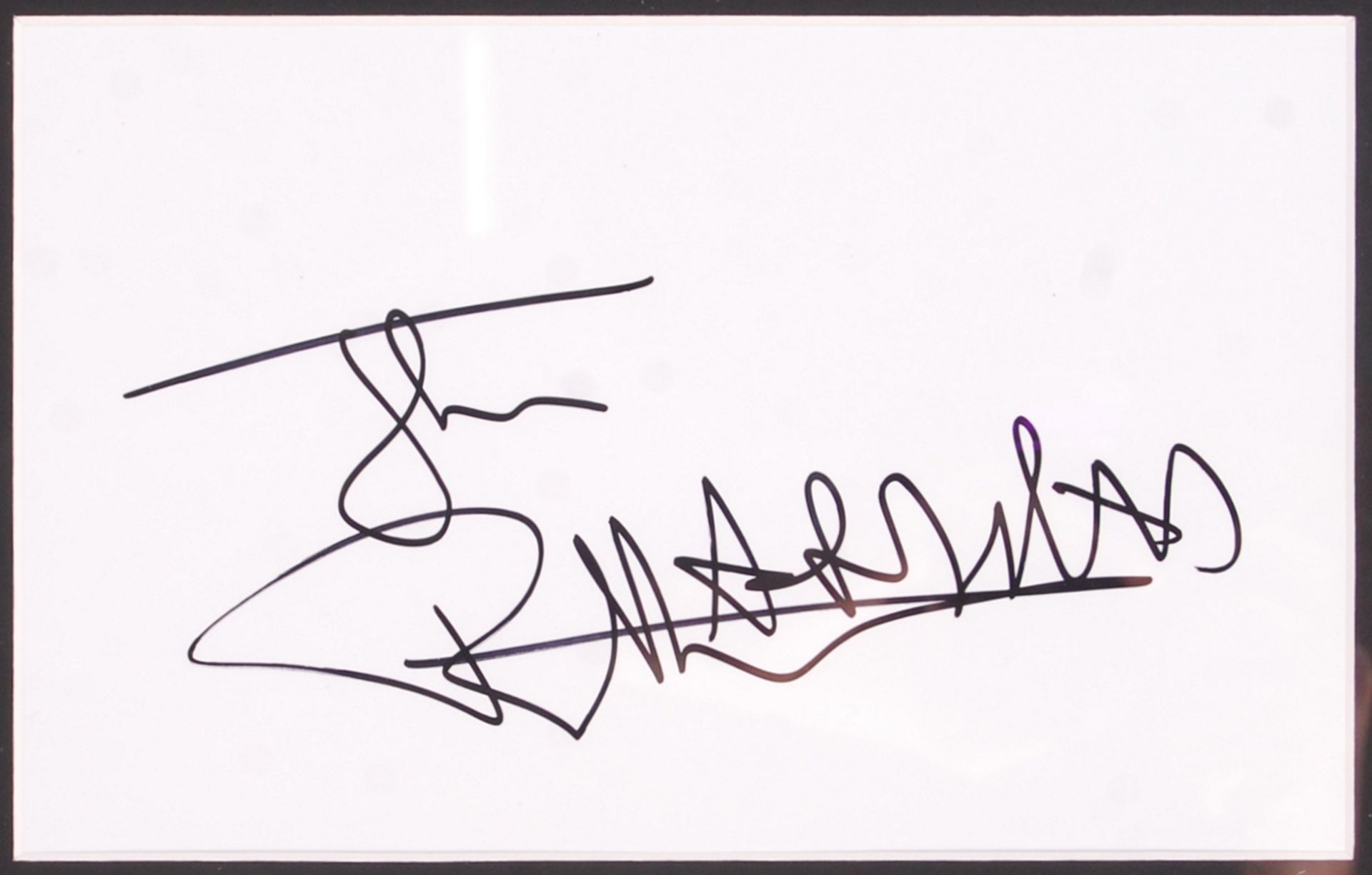 THE SEX PISTOLS - JOHN LYDON - JOHNNY ROTTEN - SIG - Bild 2 aus 2