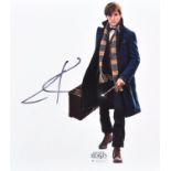 EDDIE REDMAYNE - HARRY POTTER FANTASTIC BEASTS SIGNED PHOTO