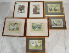 A group of seven framed and glazed chicken print p