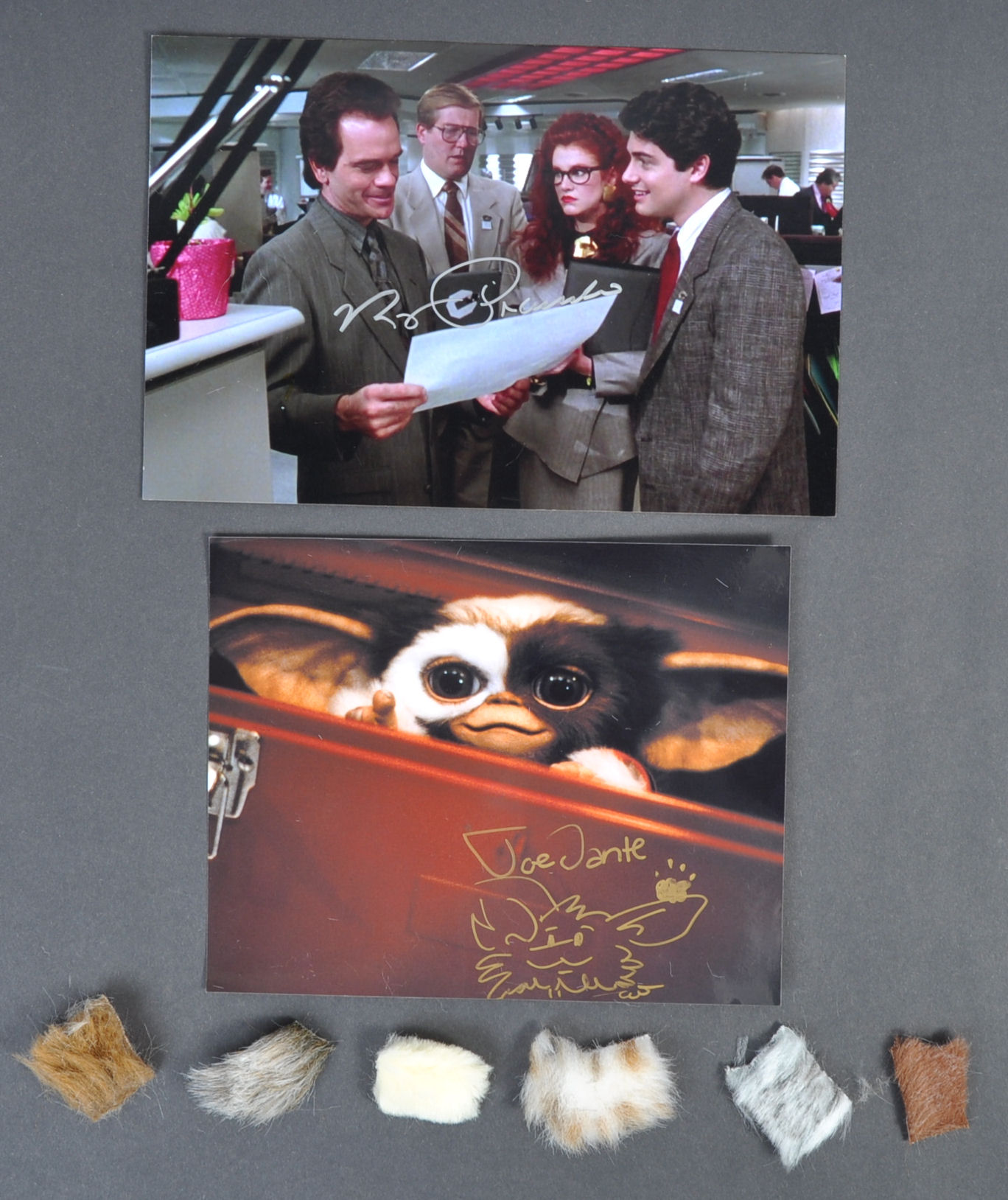 GREMLINS - ORIGINAL PROP FUR COLLECTION & AUTOGRAP