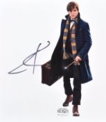 EDDIE REDMAYNE - HARRY POTTER FANTASTIC BEASTS SIG