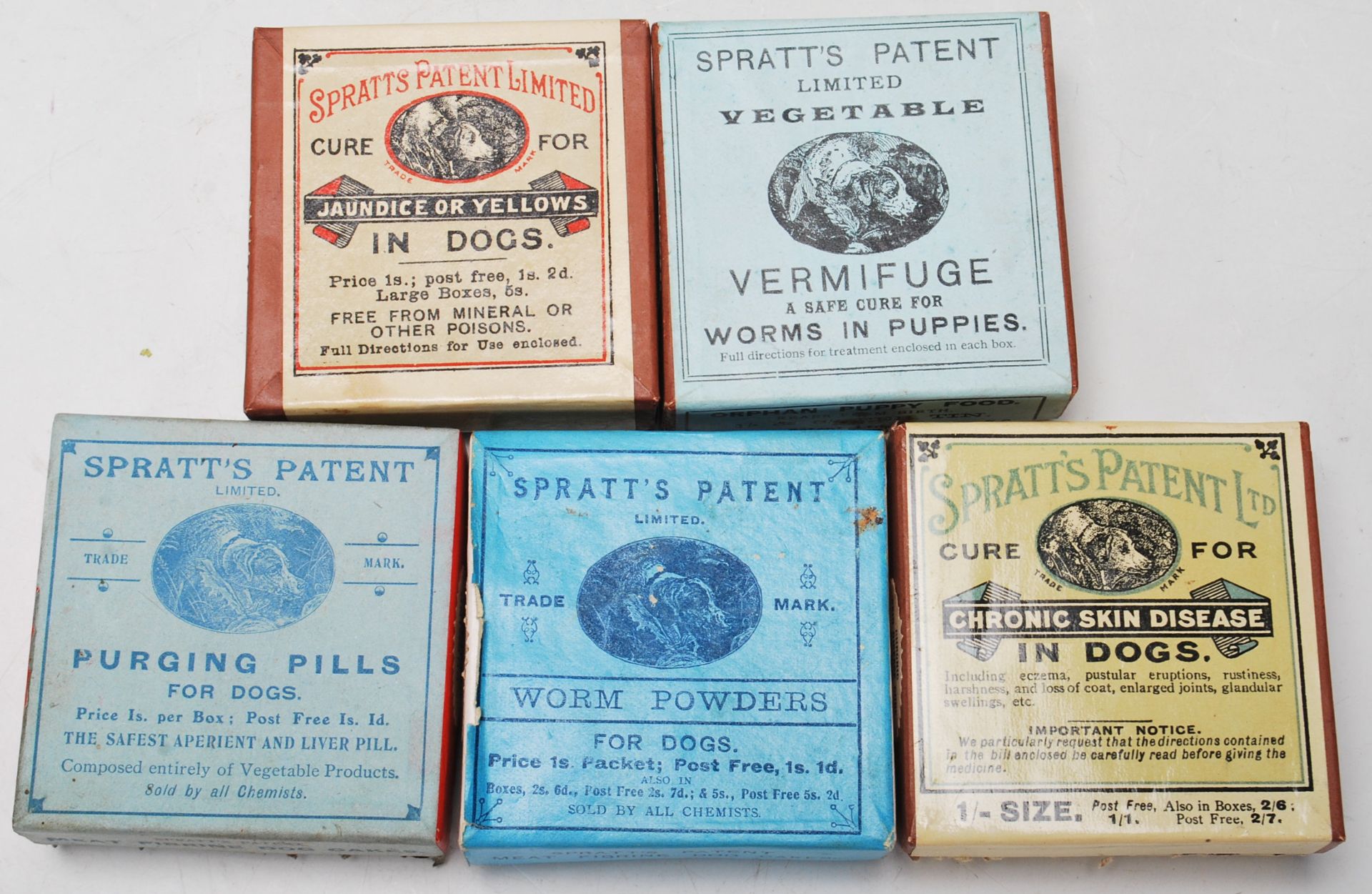 A 19th Century Victorian canine apothecary veterinarian chemist counter shot display medicine - Bild 9 aus 17