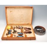 A collection of vintage cased exotic taxidermy butterfly’s in a wooden display case to include
