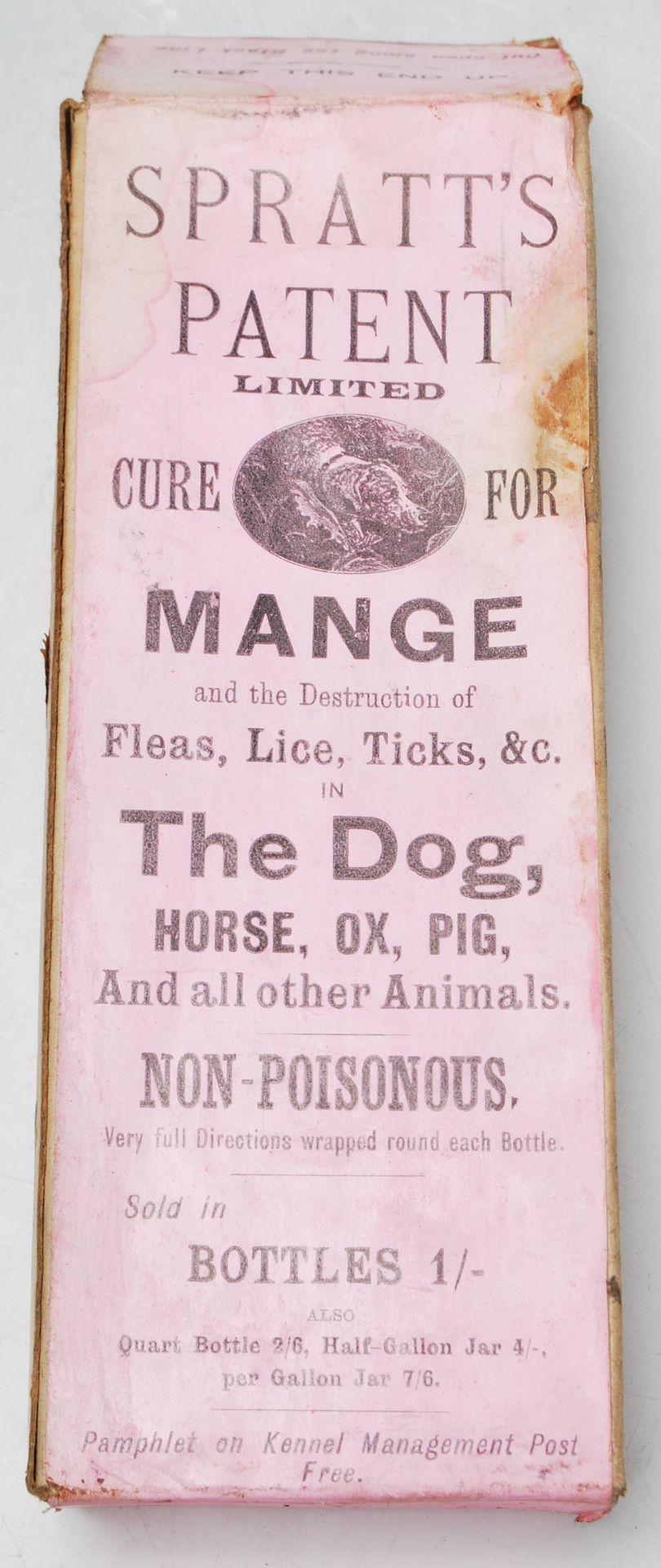 A 19th Century Victorian canine apothecary veterinarian chemist counter shot display medicine - Bild 8 aus 17