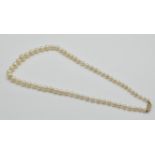 A Hallmarked 9ct Gold & Cultured Pearl Necklace