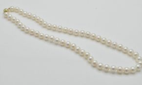 A 9ct Gold & Cultured Pearl Necklace