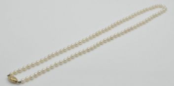 A 9ct gold and cultured pearl necklace.