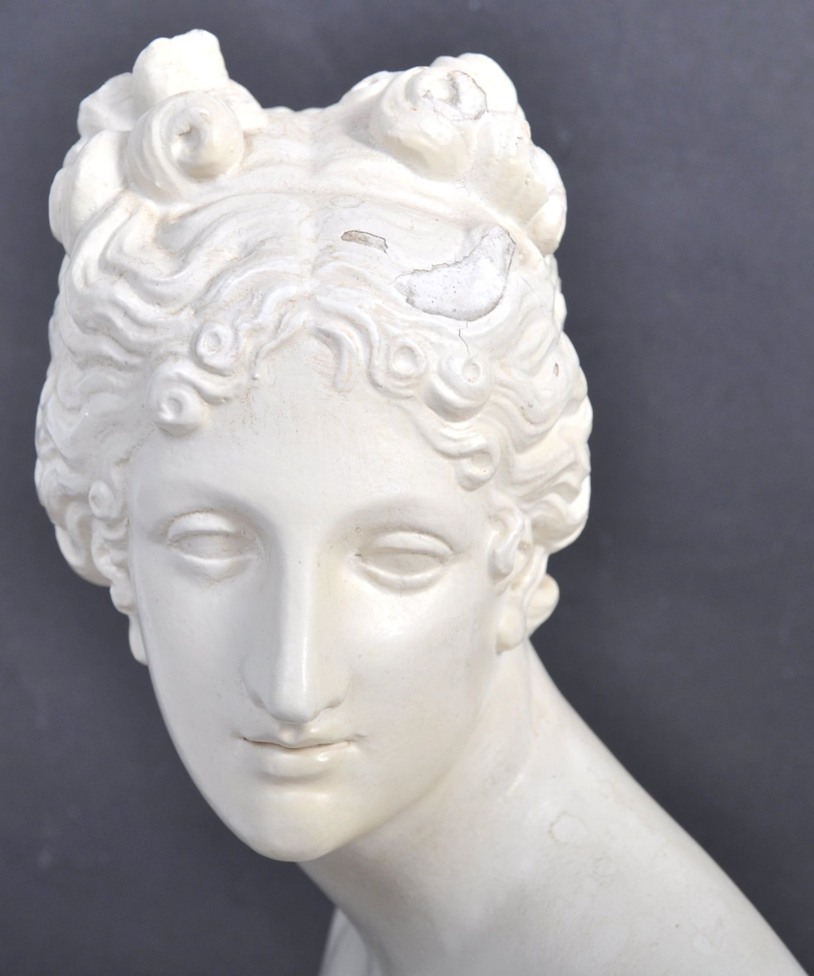 19TH CENTURY ITALIAN ANTIQUE GRAND TOUR PLASTER BUST - Bild 5 aus 9