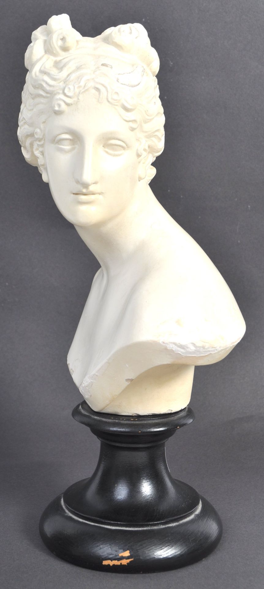 19TH CENTURY ITALIAN ANTIQUE GRAND TOUR PLASTER BUST - Bild 4 aus 9