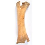 TRIBAL ANTIQUITIES - RARE NEW ZEALAND MOA BIRD CARVED BONE