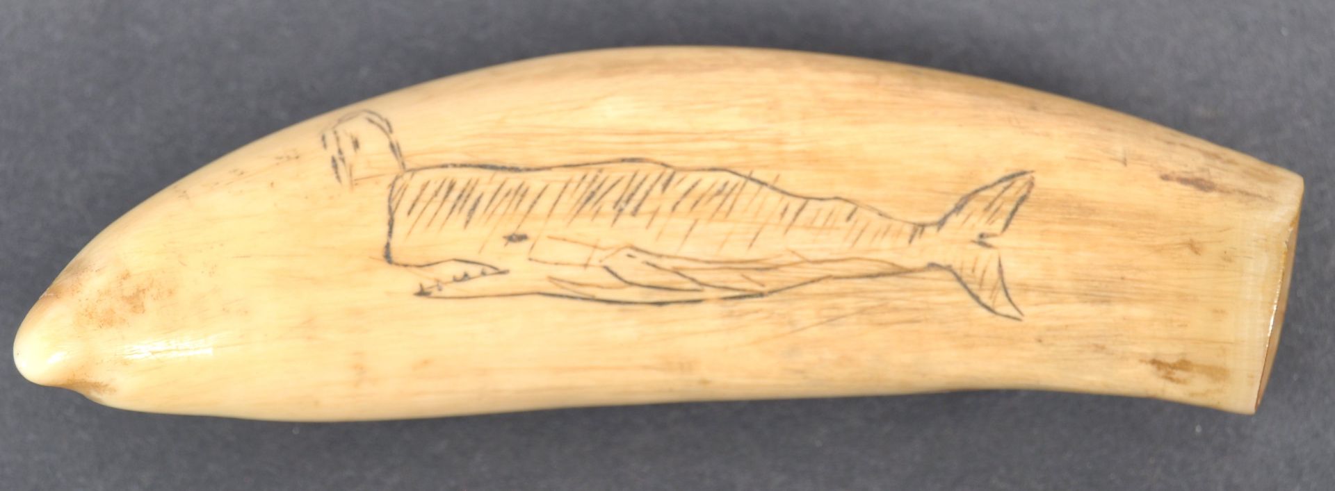 RARE 19TH CENTURY WHALE TOOTH SCRIMSHAW EUNICE H. ADAMS - Bild 6 aus 7