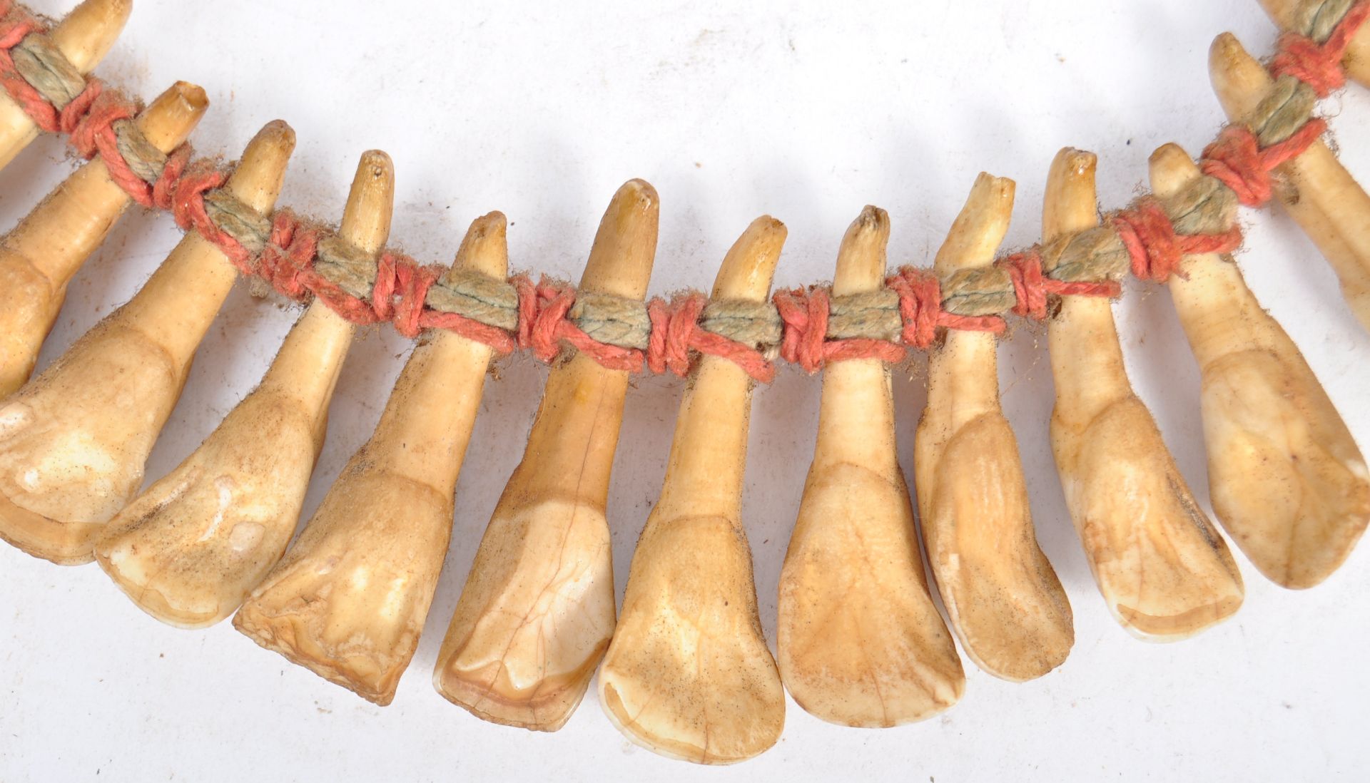 TRIBAL ANTIQUITIES - 19TH CENTURY AFRICAN TOOTH NECKLACE - Bild 3 aus 7