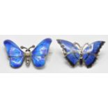An early 20th Century silver and enamel butterfly insect brooch having blue enamelled wings set with
