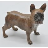 A vintage cold painted bronze figurine of a French bulldog having painted detailing in the manner of