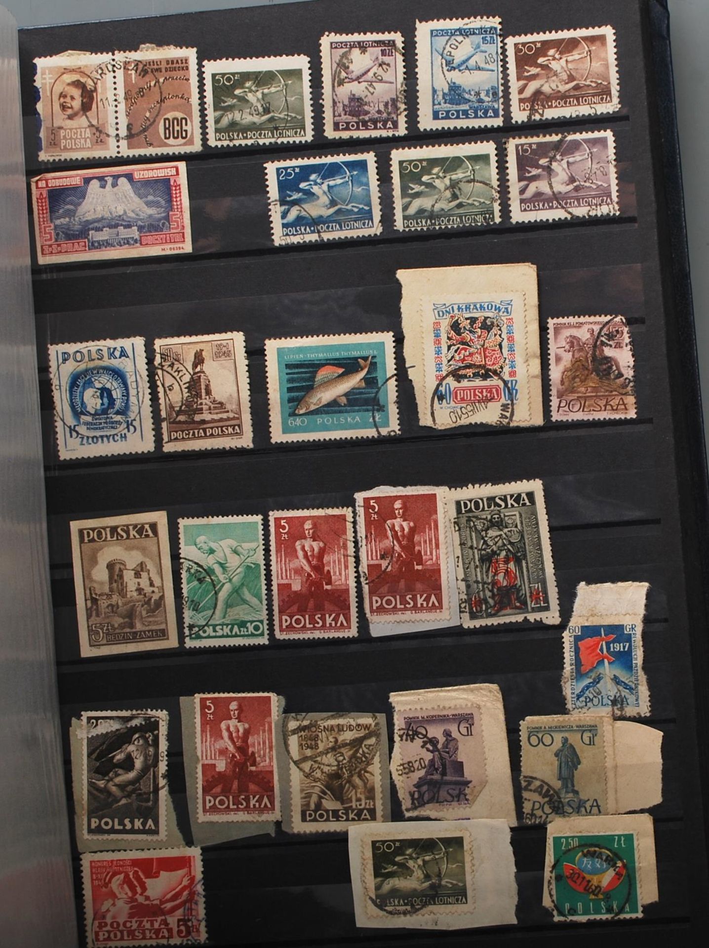 A good collection of early 20th century world stamps in a blue albums to include  include stamps - Bild 6 aus 6