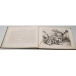 THE NATURAL HISTORY SCRAP BOOK - 1800'S BOOK WITH ILLUSTRATIONS