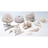 A collection of vintage shells and corals to include various branch corals specimens, conch