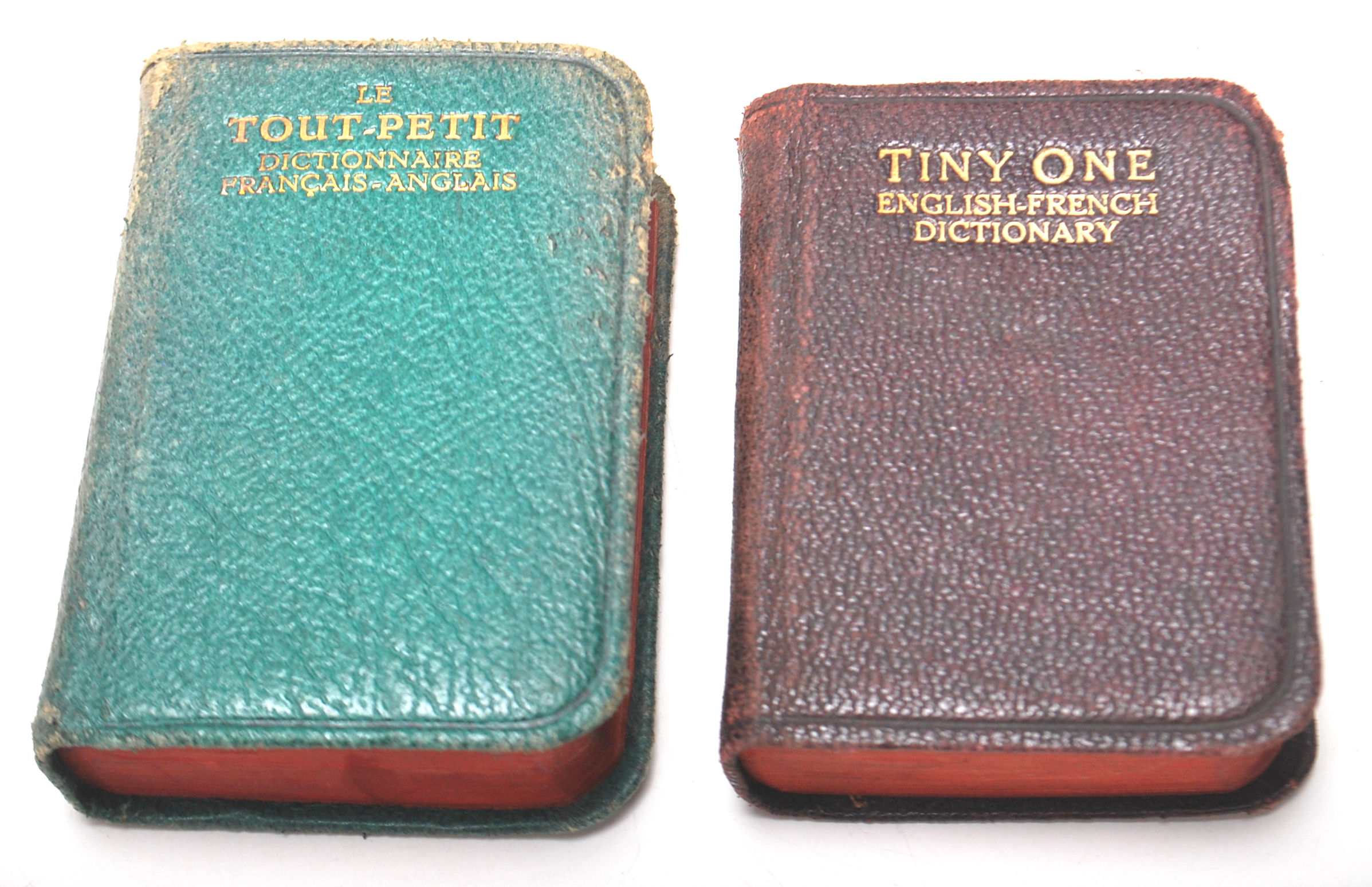 A COLLECTION OF MINIATURE DICTIONARY - Image 2 of 6