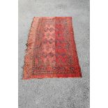 ANTIQUE TEKKE RED GROUND CARPET