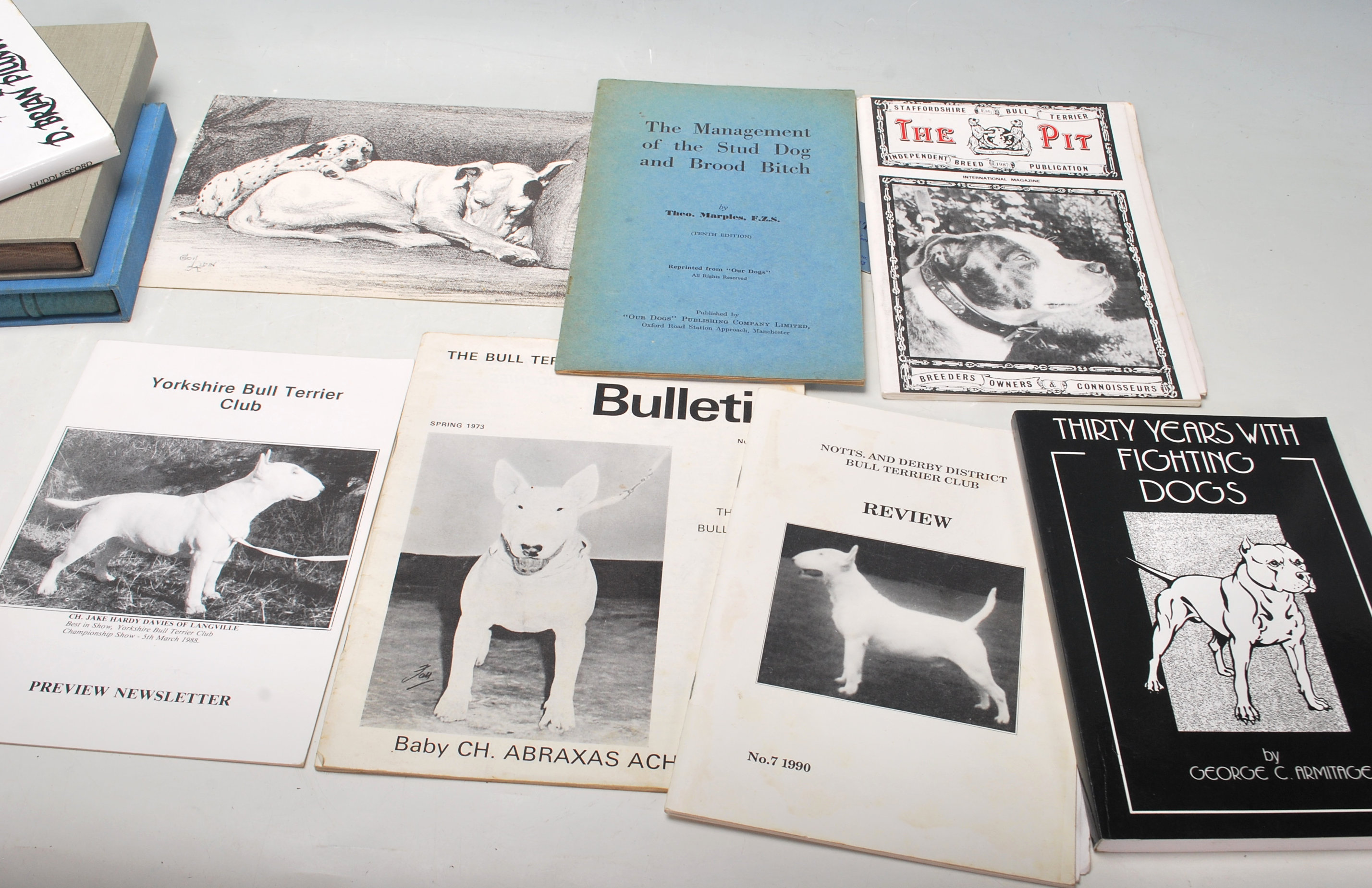 A group of vintage 20th century dog books to include various titles and dog breeds as Nathan, the - Image 6 of 7