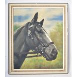 MID CENTURY RETRO OIL ON CANVAS PAINTING STUDY OF A HORSE SIGNED JANKO