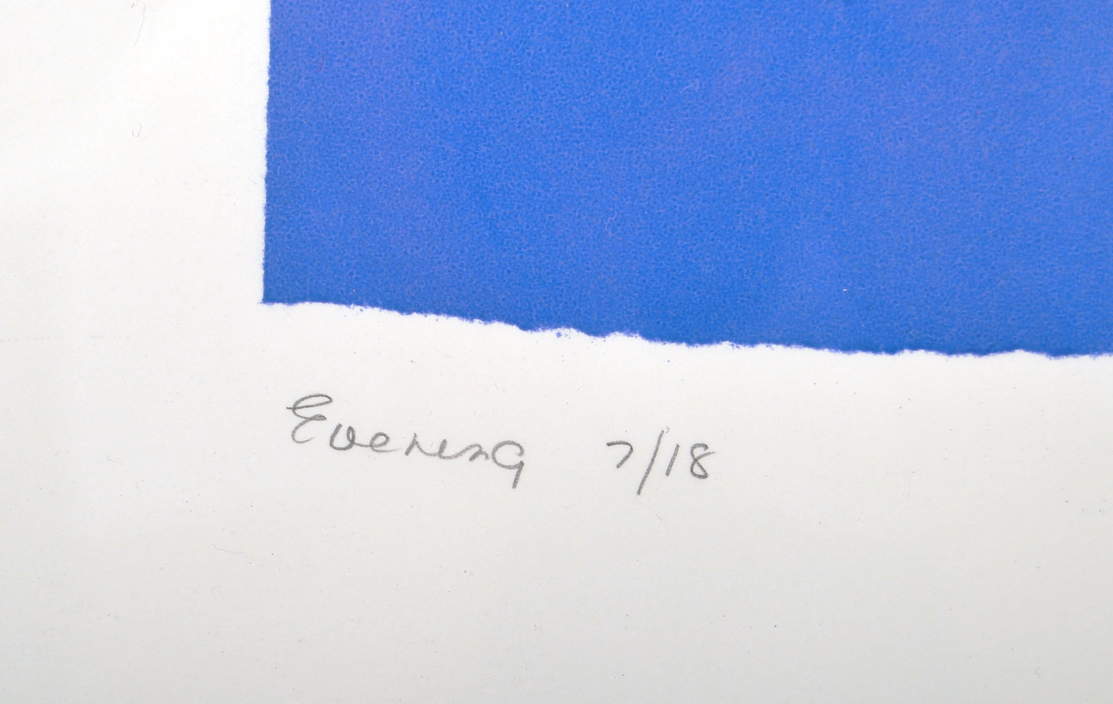 MARY FRASER SIGNED ABSTRACT POLYCHROME PRINT ENTITLED 'EVENING' - Image 3 of 6