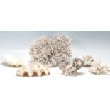 VINTAGE SEA SHELL AND CORAL SPECIMENS