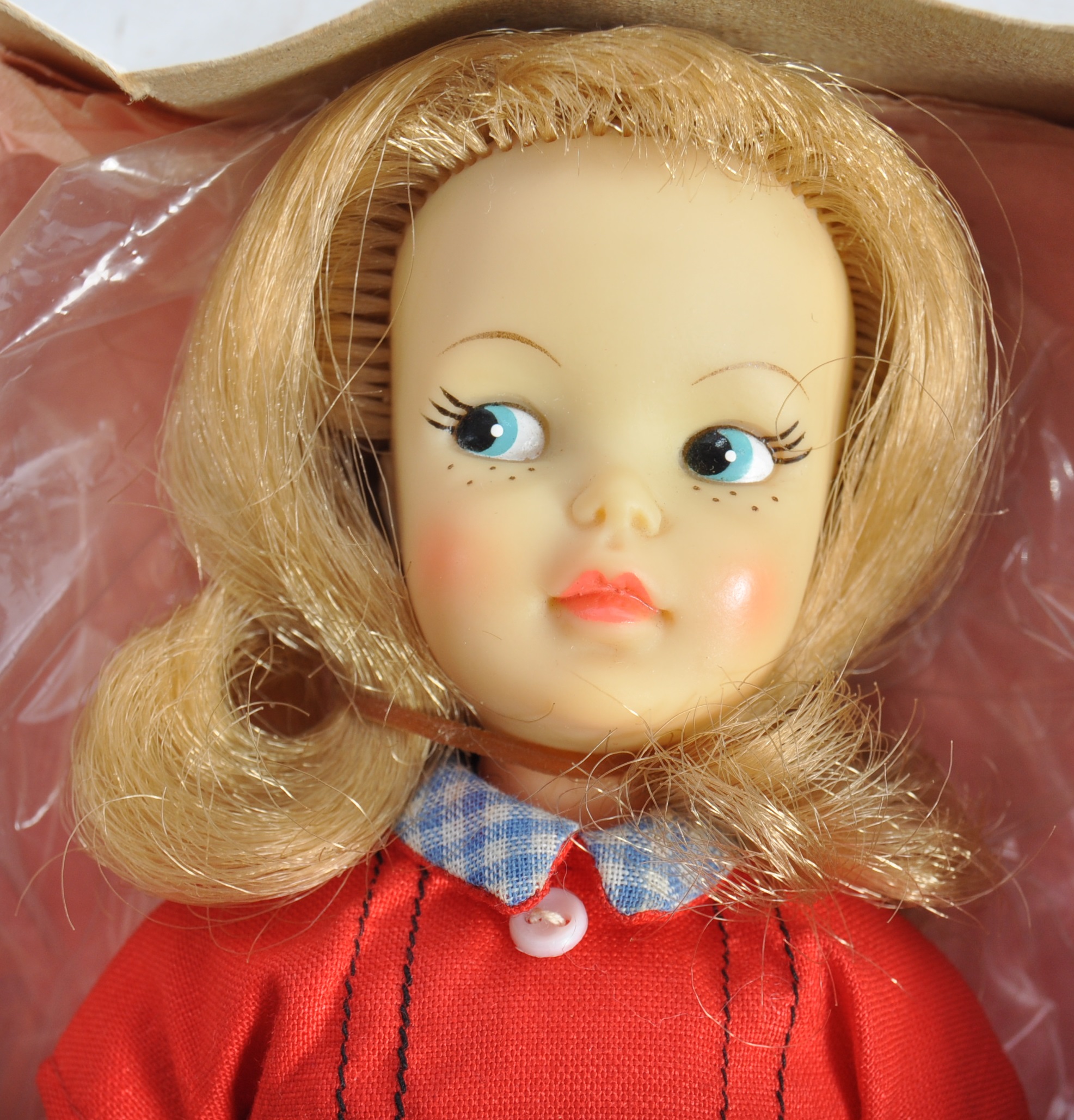 ORIGINAL VINTAGE 1960'S BOXED TAMMY'S FAMILY ' PEPPER ' DOLL - Image 2 of 7