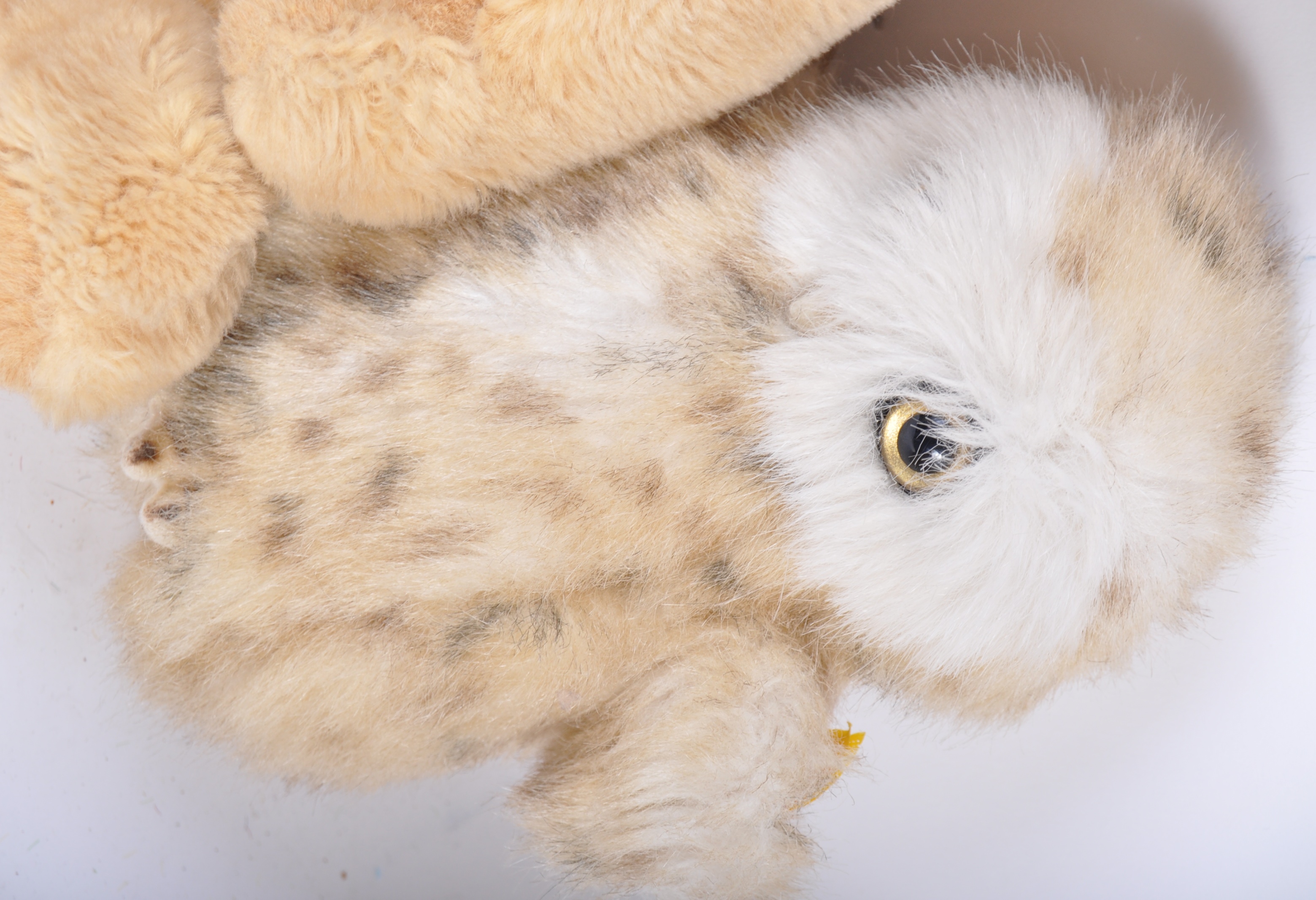 COLLECTION OF ASSORTED TEDDY BEARS - STEIFF, CHILTERN ETC - Image 4 of 6