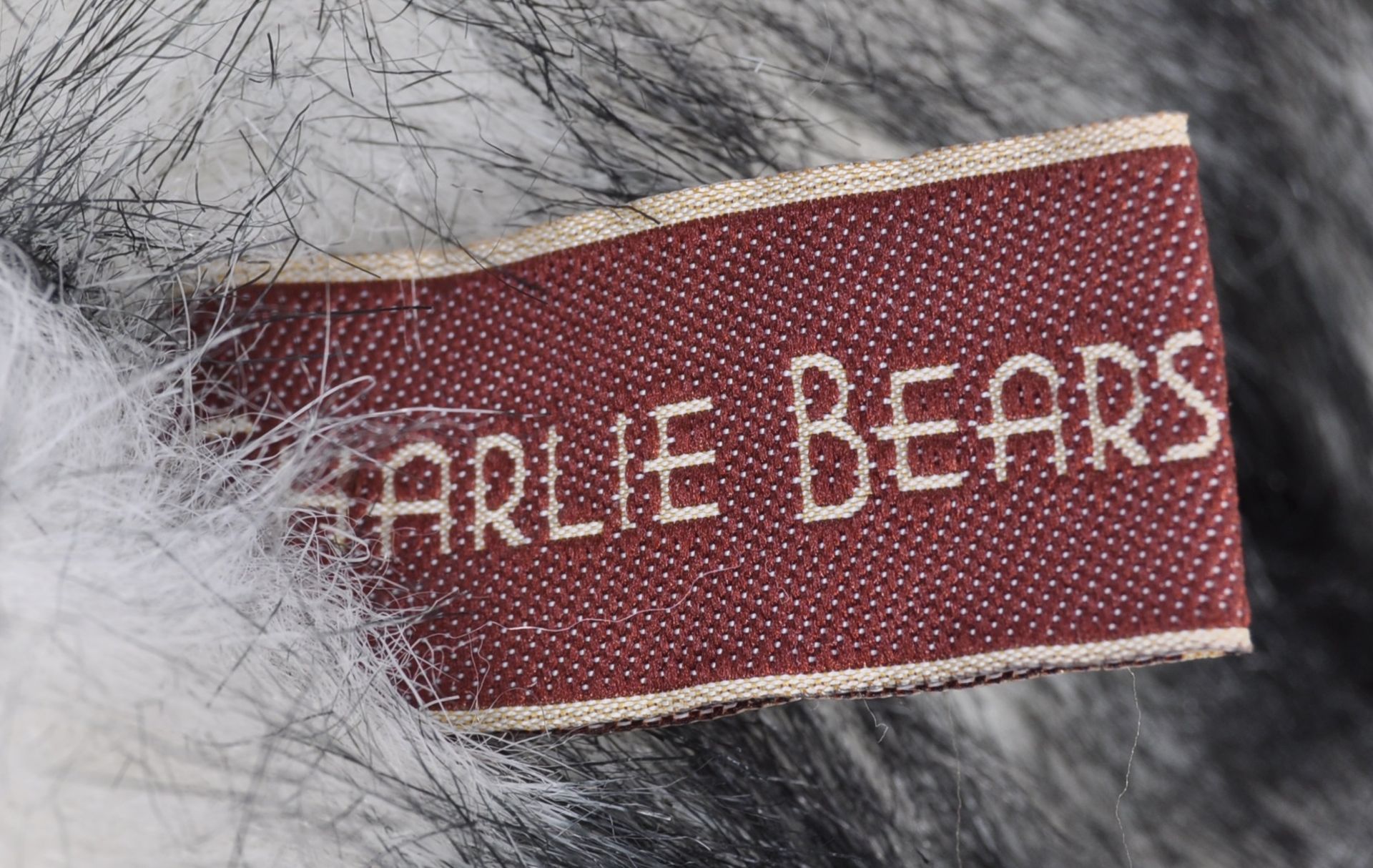 ORIGINAL CHARLIE BEAR ' FINLEY ' SOFT TOY TEDDY BEAR - Bild 4 aus 4