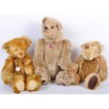 COLLECTION OF CENTENARY EDITION DEANS RAG BOOK BEARS