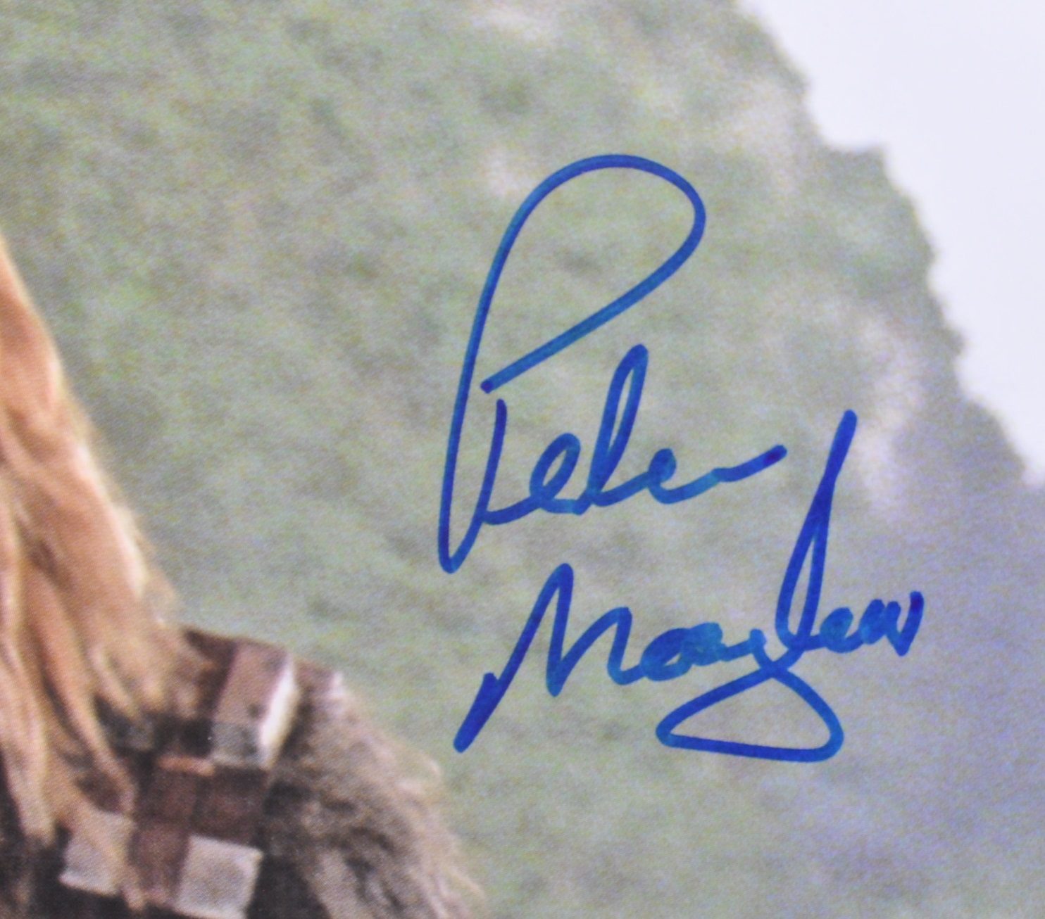 STAR WARS - PETER MAYHEW - CELEBRATION IV SIGNED PHOTO - Image 2 of 3