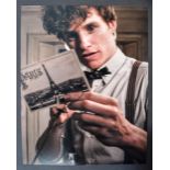 EDDIE REDMAYNE - HARRY POTTER FANTASTIC BEASTS SIG