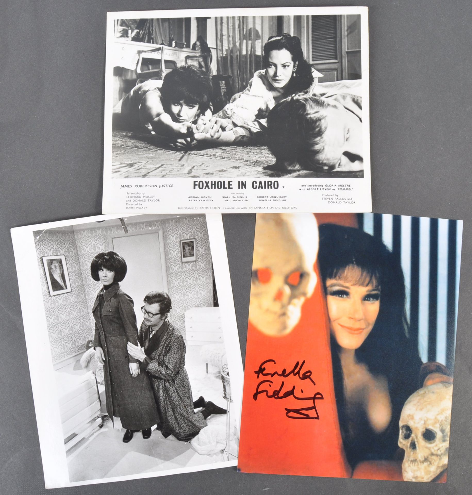 CARRY ON FILMS – FENELLA FIELDING – AUTOGRAPHED 8X