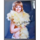 CARRY ON FILMS - CAROL HAWKINS - AUTOGRAPHED PHOTO