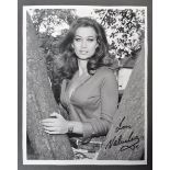 FROM THE COLLECTION OF VALERIE LEON - VINTAGE SIGN