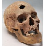 ANTIQUE VICTORIAN ANATOMICAL COMPLETE HUMAN SKULL