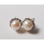 SILVER AND FRESH WATER PEARL STUD EARRINGS