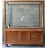 IMPRESSIVE 19TH CENTURY GLAZED MUSEUM DISPLAY CABINET