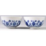 RARE PAIR OF CHINESE GUANGXU PERIOD BLUE AND WHITE BOWL