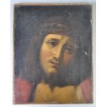 ANTIQUE OIL ON CANVAS OF DEPICTING CHRIST WITH THE CROWN OF THORNS