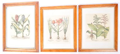 SET OF THREE 19TH CENTURY VICTORIAN BURR MAPLE PICTURE FRAMES