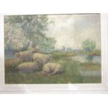 Arthur Wilkinson (1860-1930), 'Sheep grazing on a river bank', signed watercolour, 27 x 38cm.