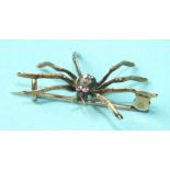 An Edwardian spider brooch with ruby eyes and body set with four rose-cut diamonds, unmarked, 38mm