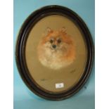 Dorothy S Hallett JAFFA, (PORTRAIT OF A SHELTI) Pastel drawing framed oval, signed and titled, 37