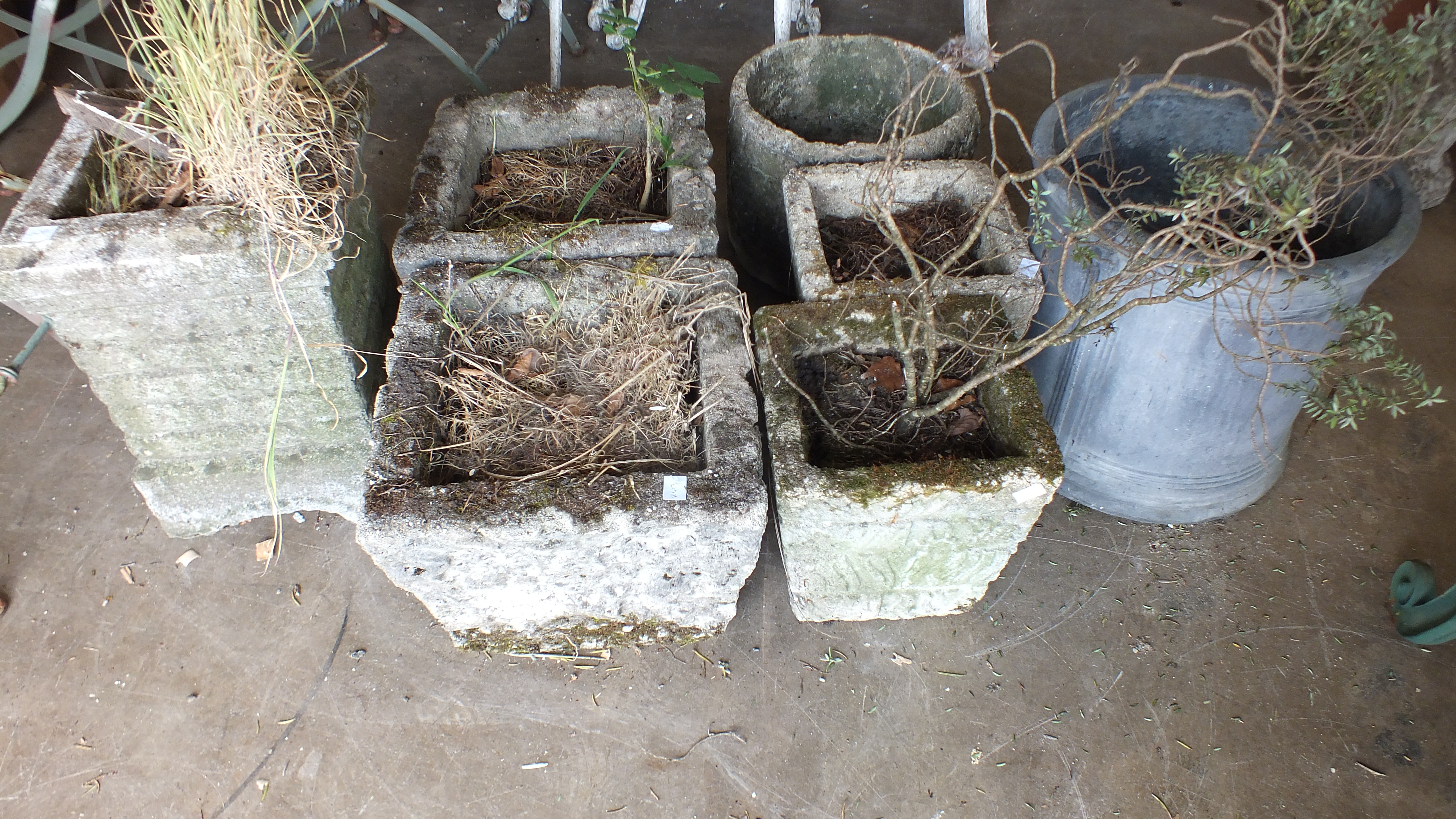 A resin cylindrical planter and six concrete planters.